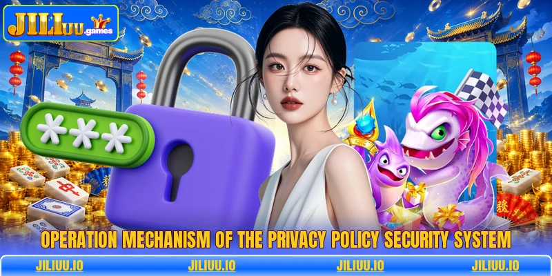 Operation mechanism of the privacy policy security system Operation mechanism of the privacy policy security system